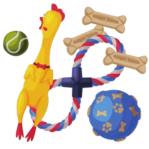 Accesorii câini